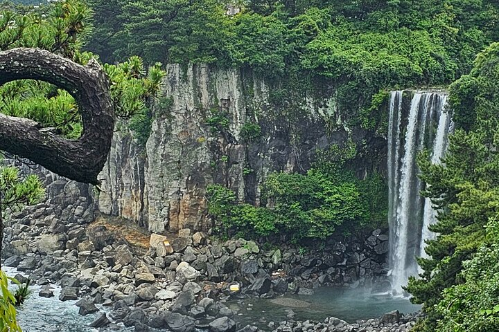 Seogwipo, which includes the entire southern half of Jeju, exhibits a great amount of sunshine and warm temperatures, attracting crowds of tourists all year round. 